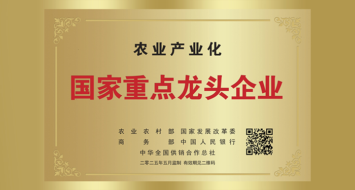 U钱包官网-安全支付工具