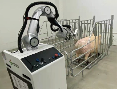 U钱包官网-安全支付工具